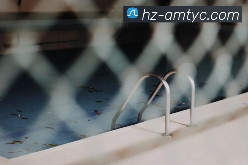 太阳城网站发展历程